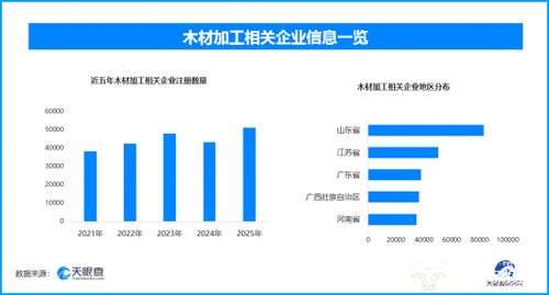 生態(tài)為基 產(chǎn)業(yè)為翼 植樹節(jié)視角下林木木材產(chǎn)業(yè)發(fā)展新圖景